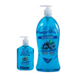 Blue Berry Hand Wash